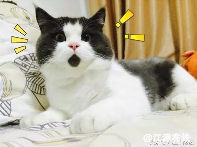 1531729937269aa968387ff.jpg