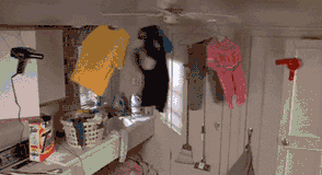 5.gif