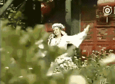 5.gif