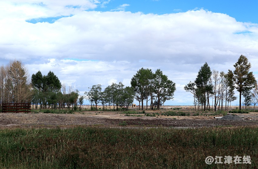 去龙羊峡水库 (2).jpg