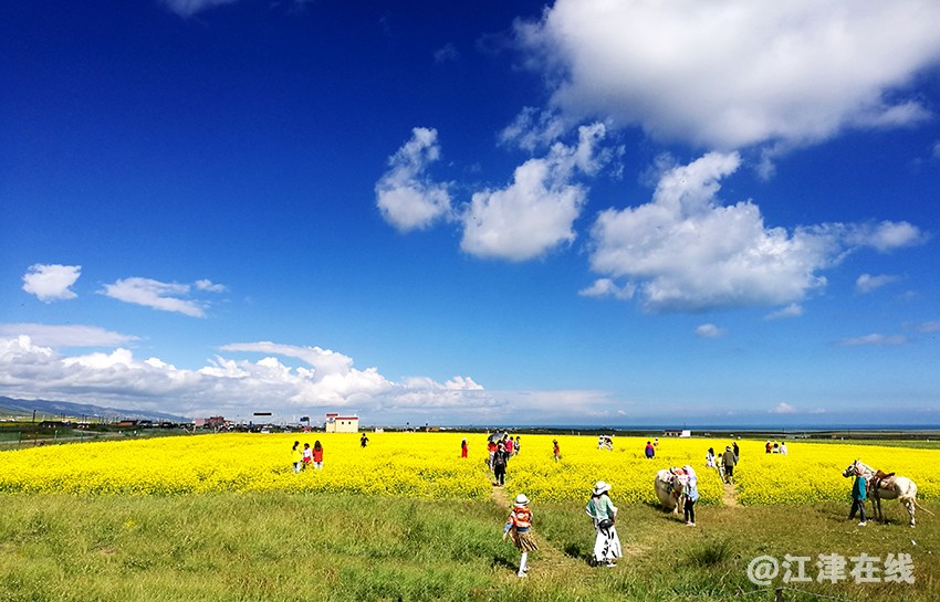 青海湖 (14).jpg