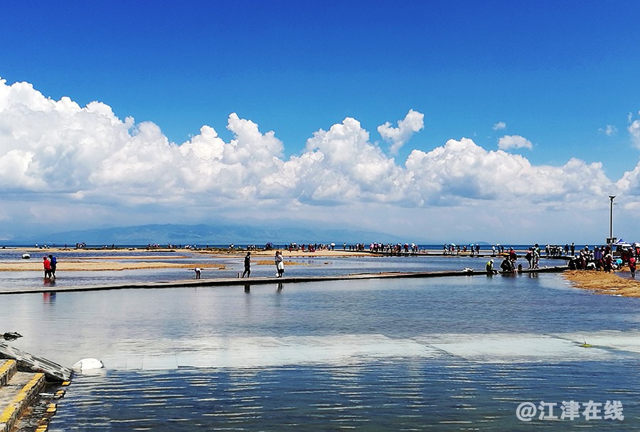青海湖 (36).jpg