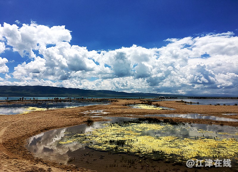 青海湖 (37).jpg