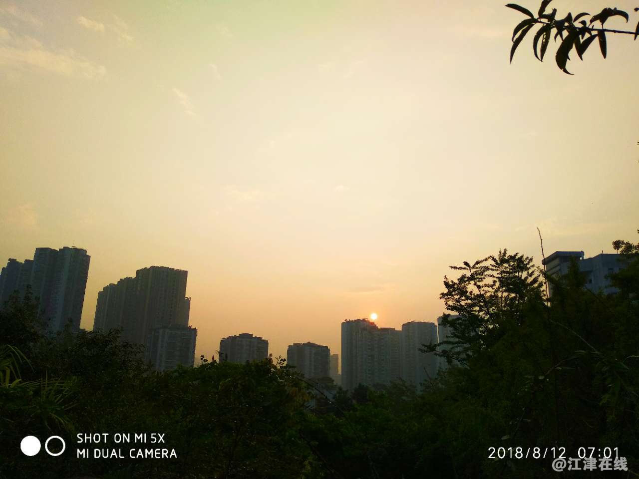 20180814_65865_1534260140667.jpg