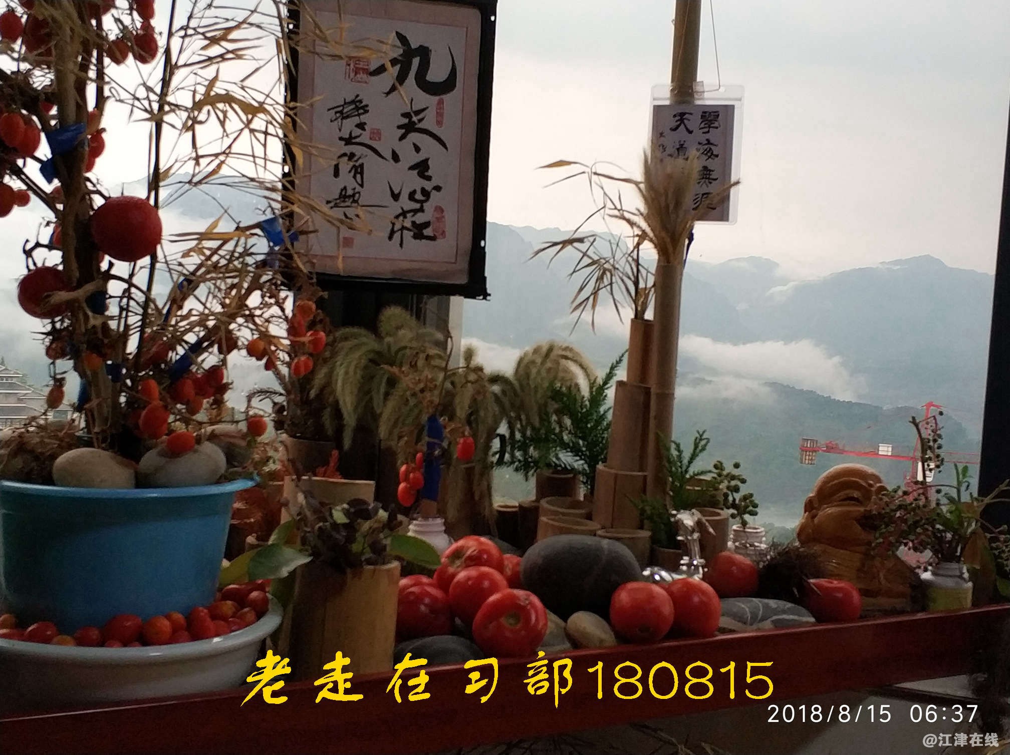 JYZ 20180815 WXTB NT3 (17).jpg