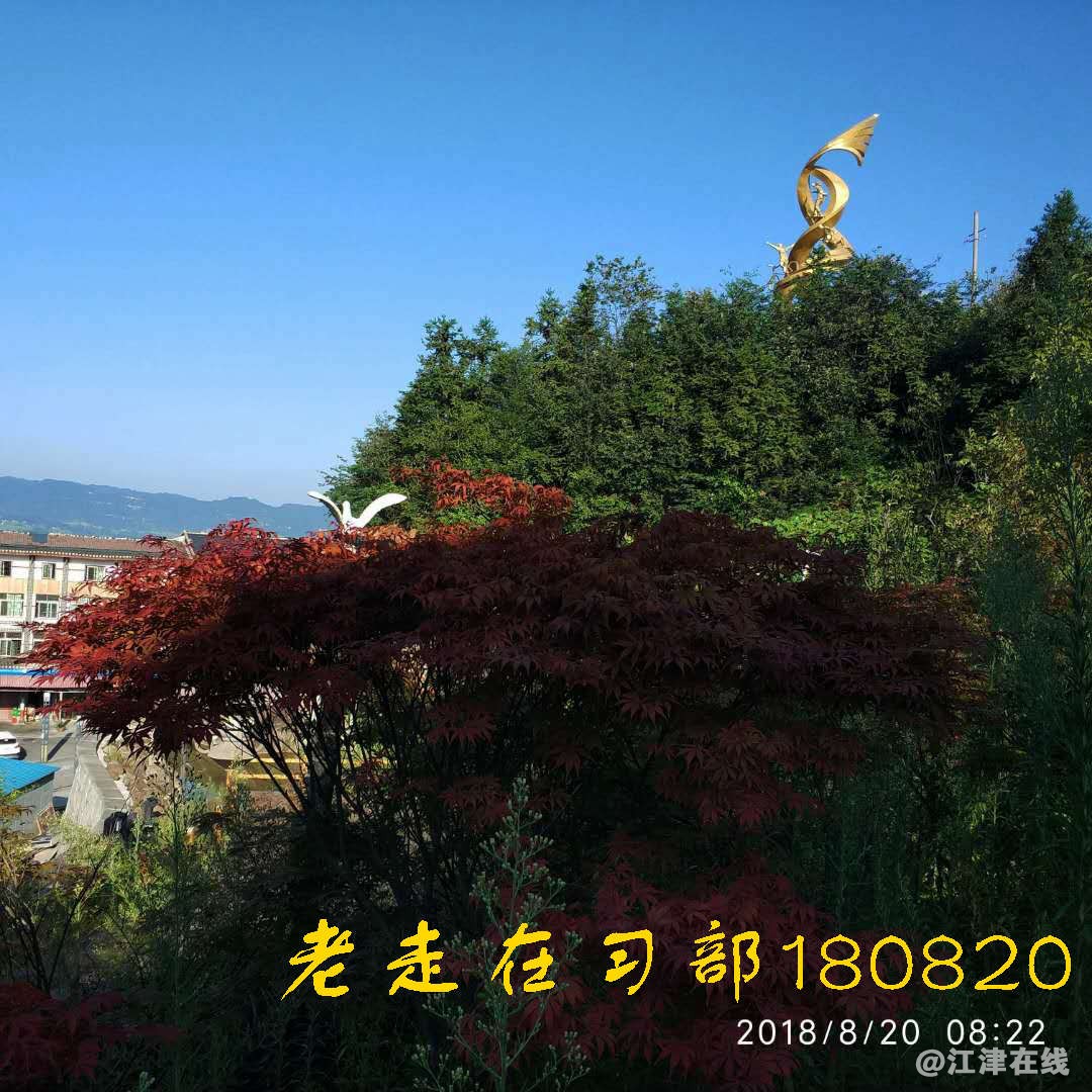 JYZ 20180820 WXXB1 NT3 (27).jpg