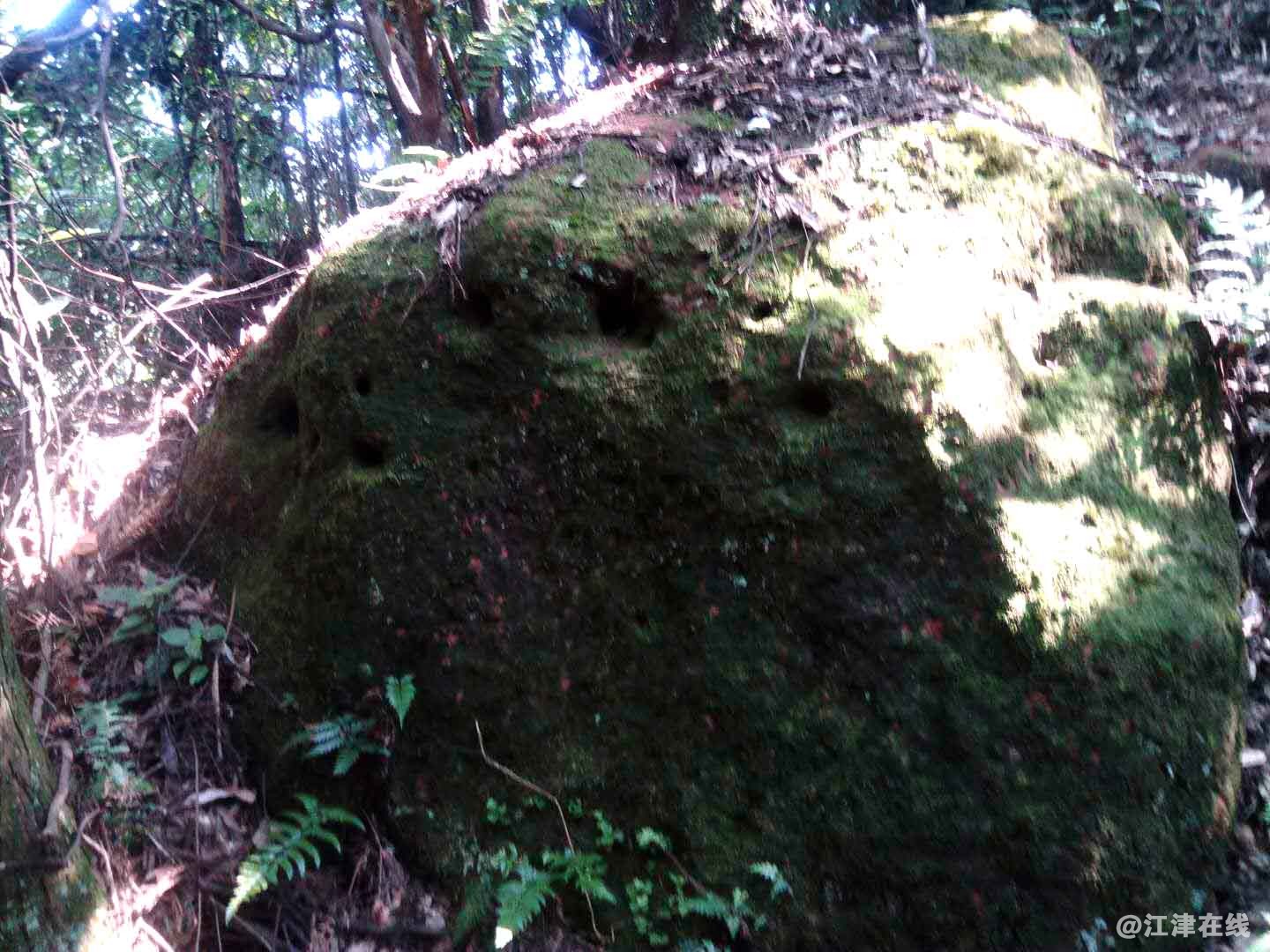 01.jpg
