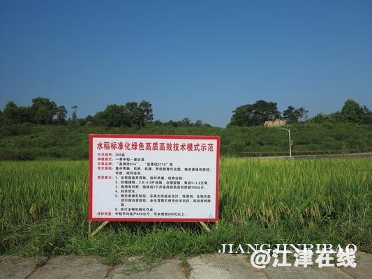 856f6204-cdce-4ccc-b13a-7557199b16cd.jpg