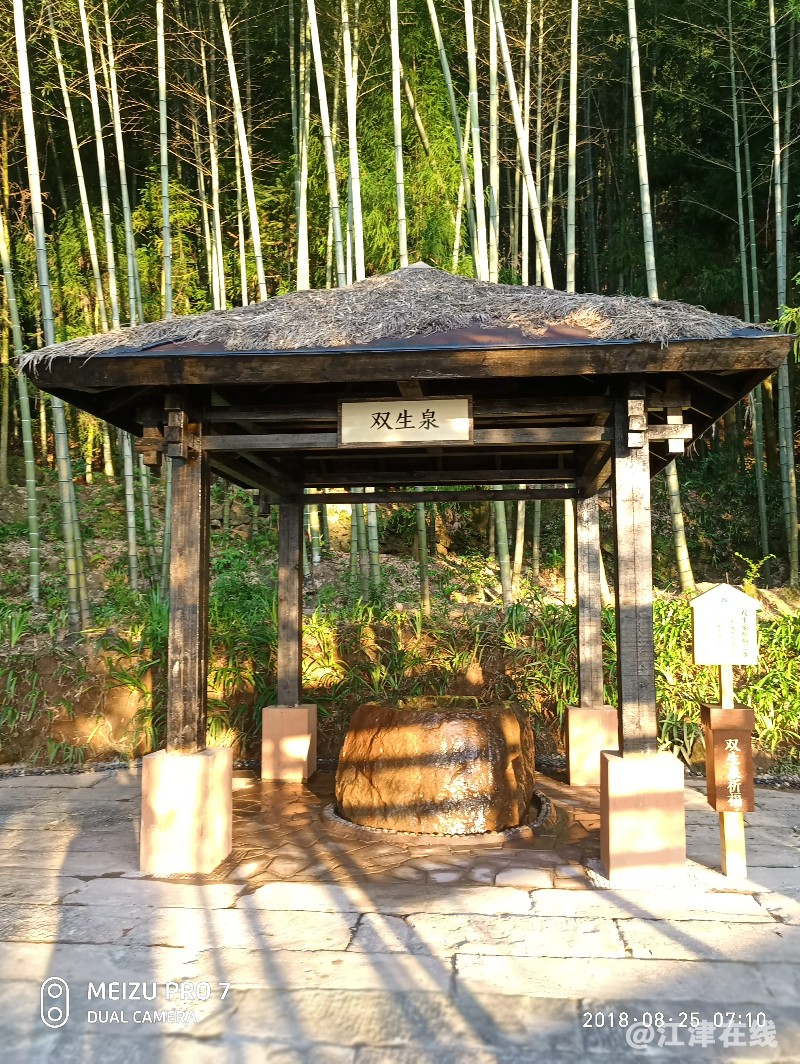 P80825-071009.jpg