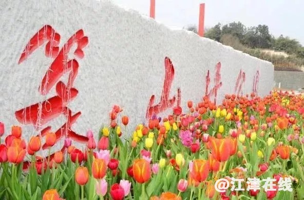 ab27a3f8-f619-4a49-9cc3-1e0d96a2dc3b.jpg