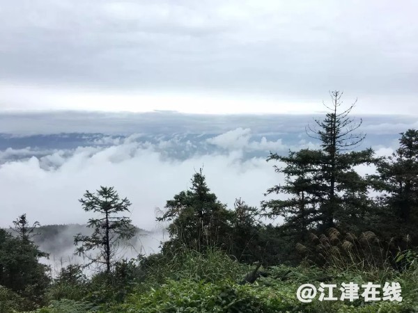 97da9288-a046-425a-8542-8cc9b84893df.jpg