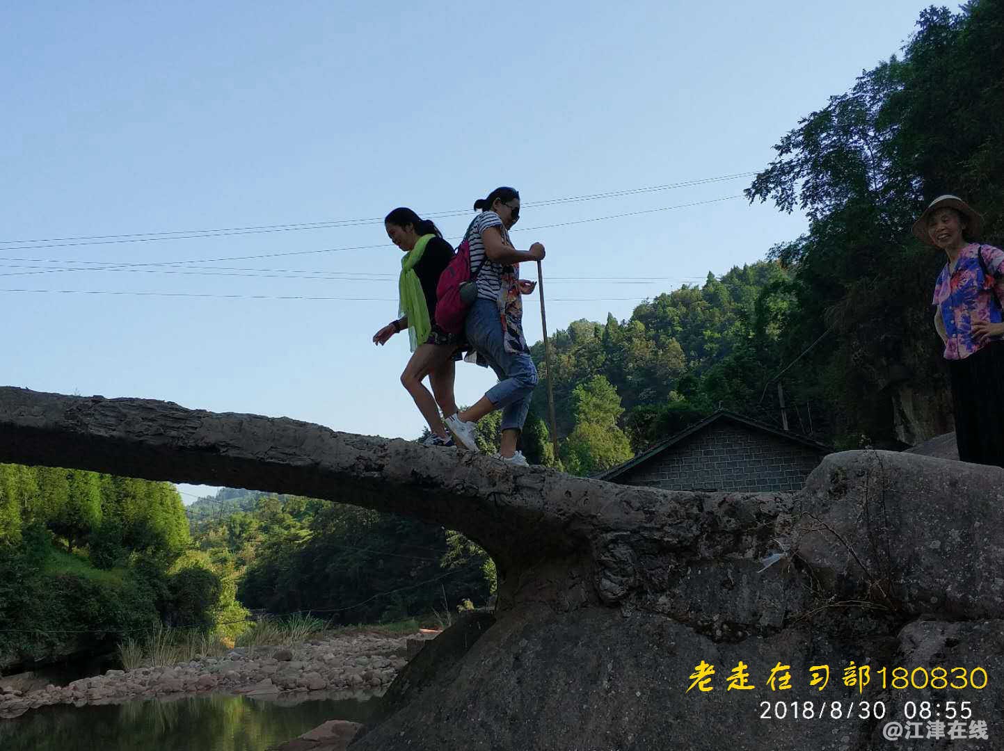 JYZ 20180830 YZYB XS NT3 (119).jpg