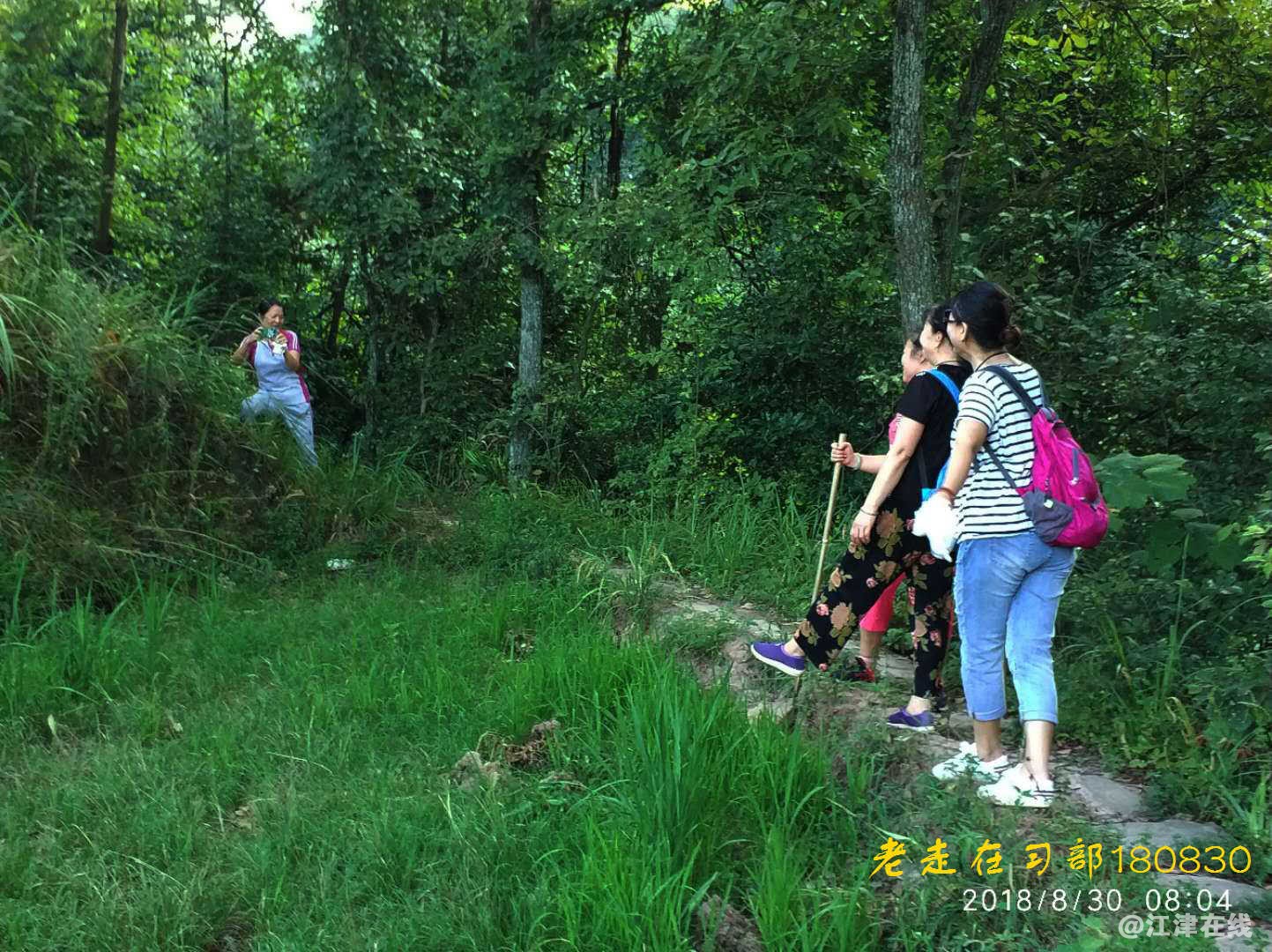 JYZ 20180830 YZYB XS NT3 (41).jpg