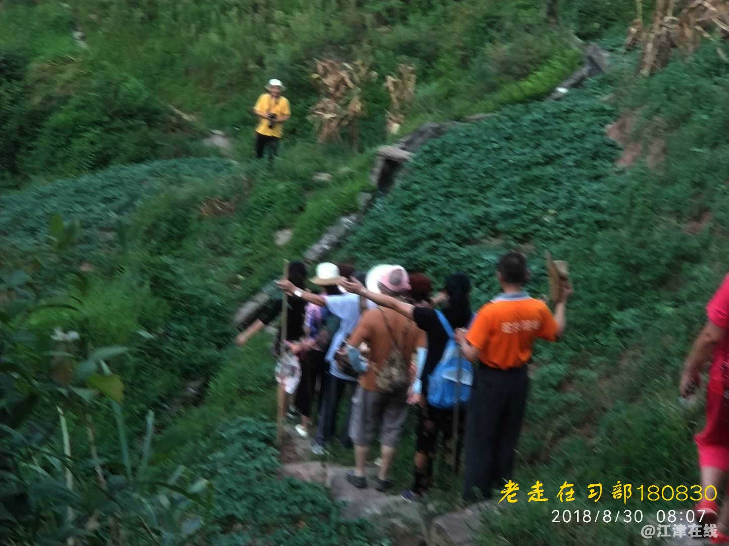 JYZ 20180830 YZYB XS NT3 (48).jpg