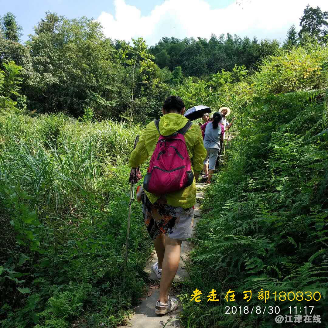 JYZ 20180830 YJB SS NT3 (152).jpg