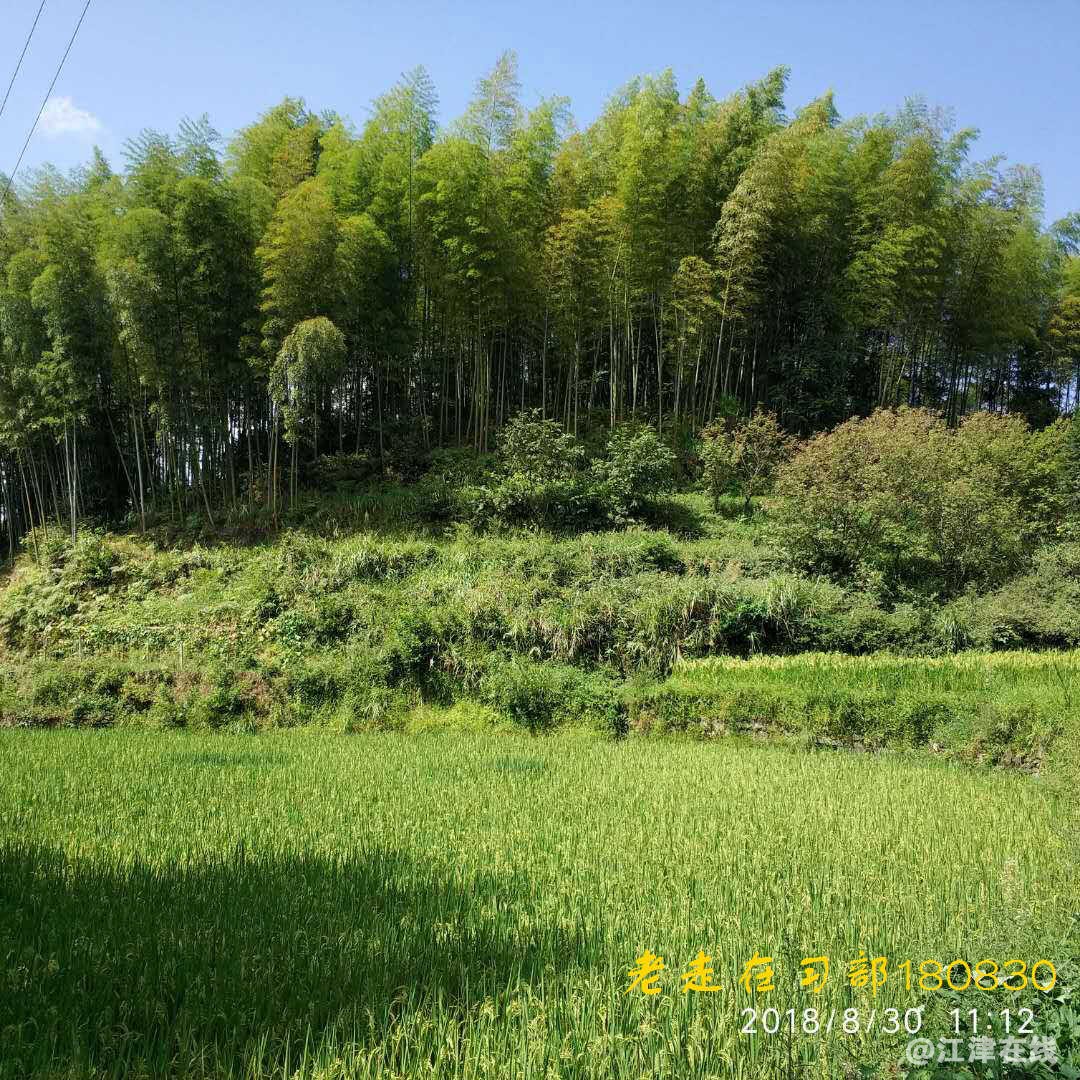 JYZ 20180830 YJB SS NT3 (154).jpg