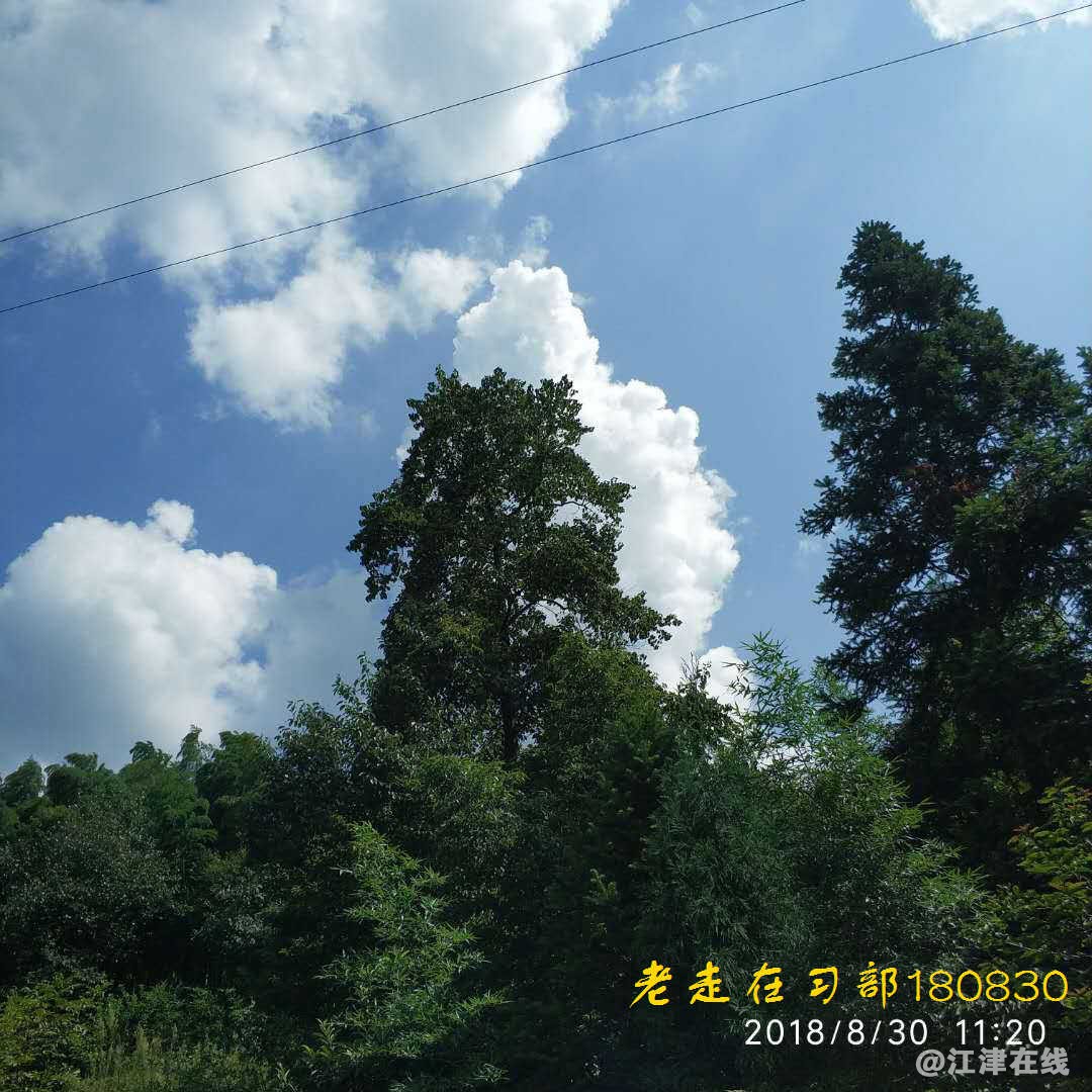 JYZ 20180830 YJB SS NT3 (178).jpg