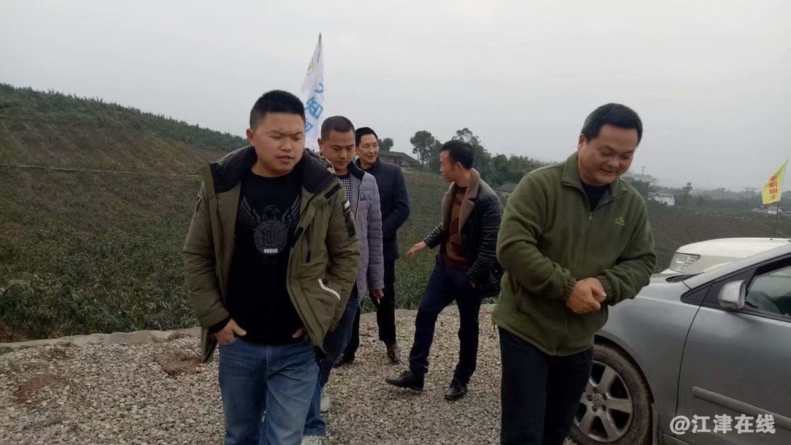 3公司高级技术总监陈茂林带领客户参观花椒基地_.jpg