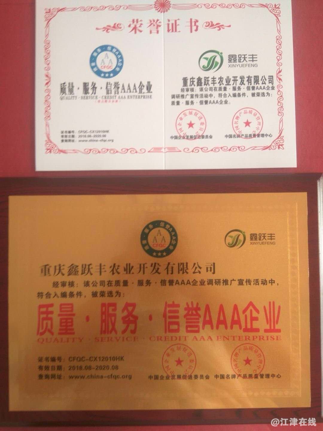 13公司获得荣誉1_看图王.jpg