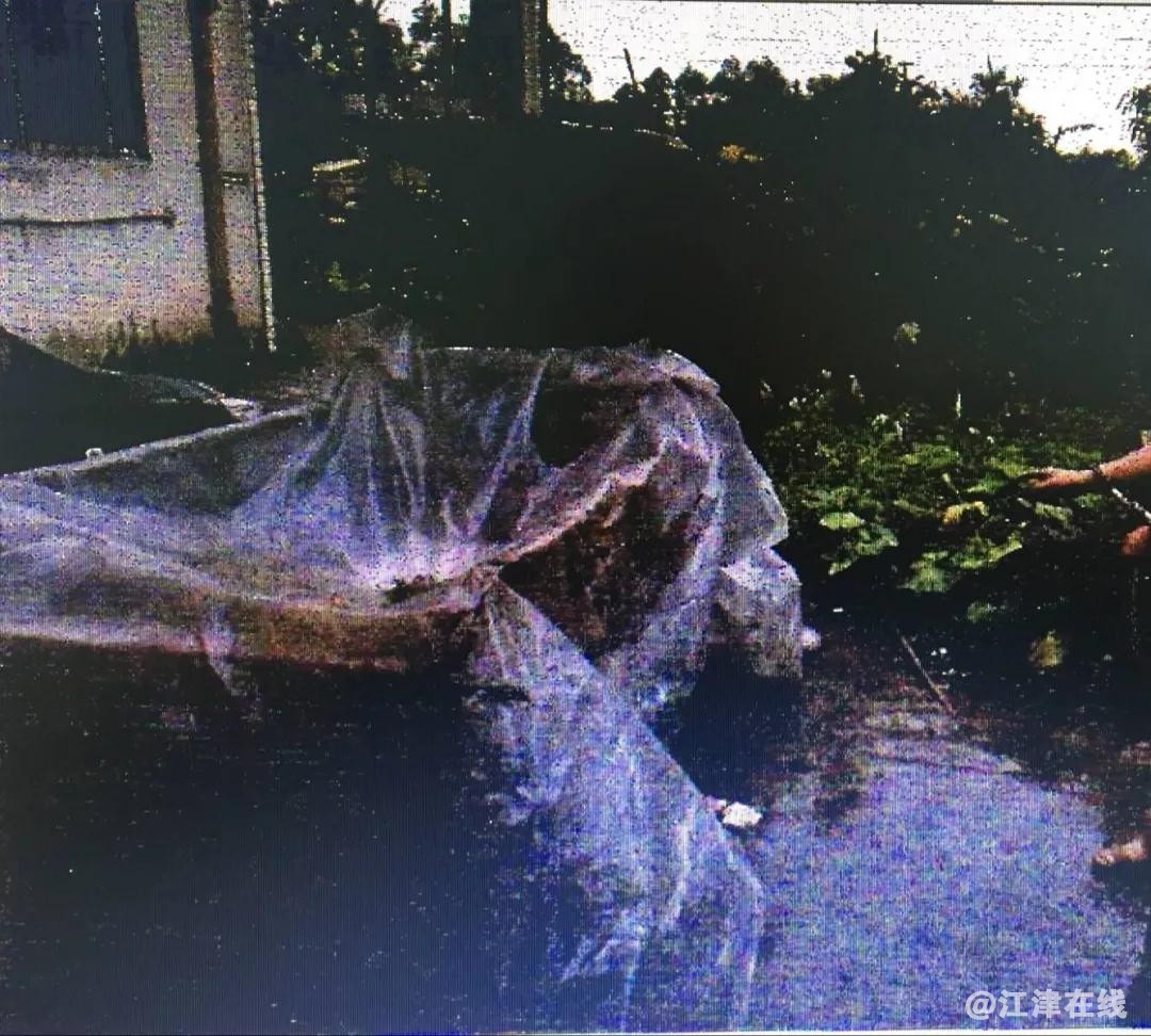 微信图片_20180915103226.jpg