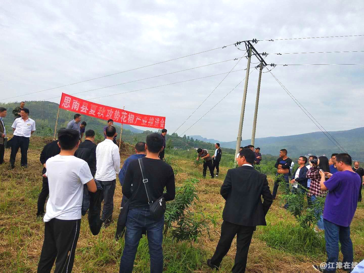 3会议代表参观考察花椒基地.jpg