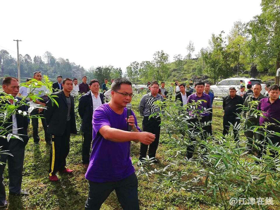 4鑫跃丰公司技术总监陈茂林向代表介绍花椒剪技技术.jpg