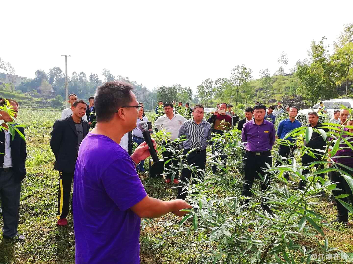 5鑫跃丰公司技术总监陈茂林向代表介绍花椒管理方式.jpg