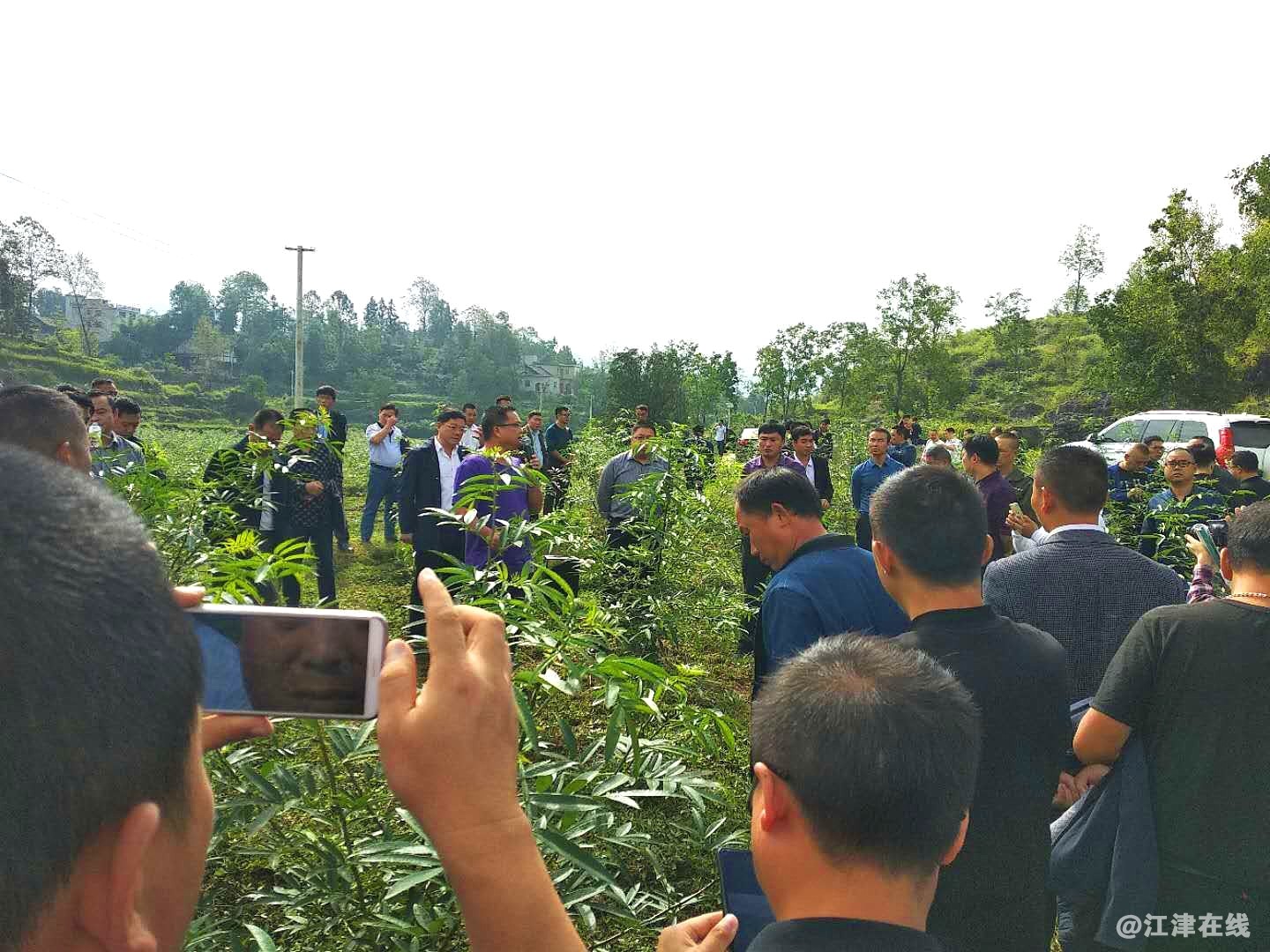 7鑫跃丰公司技术总监陈茂林向代表介绍花椒施肥方式.jpg