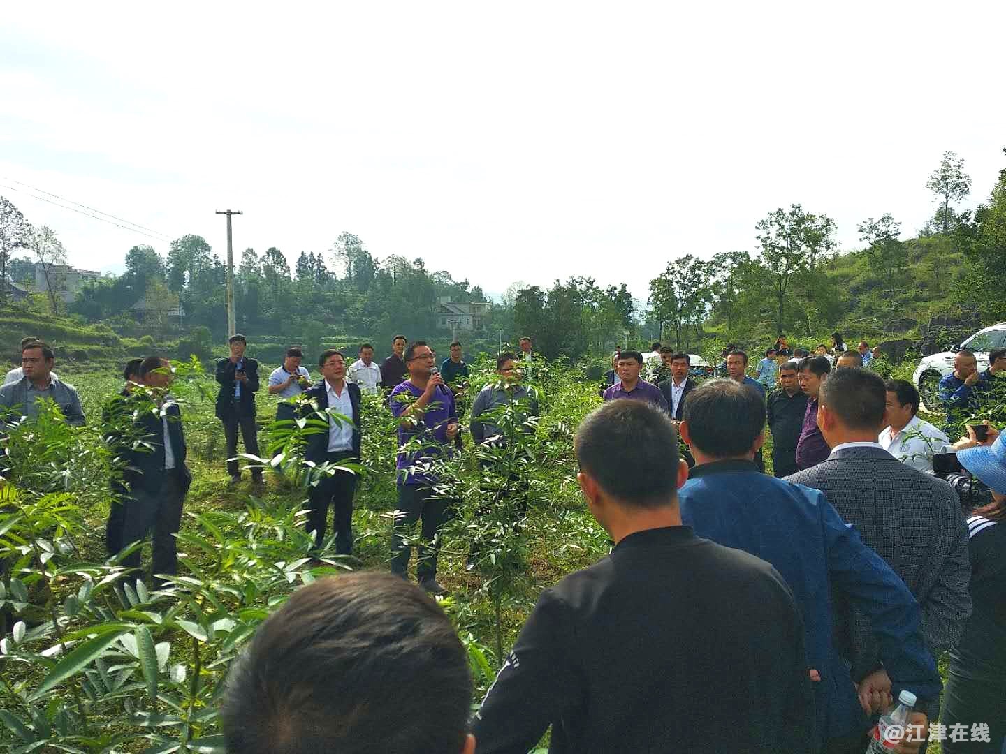 11鑫跃丰公司技术总监陈茂林向代表介绍花椒种植方式.jpg