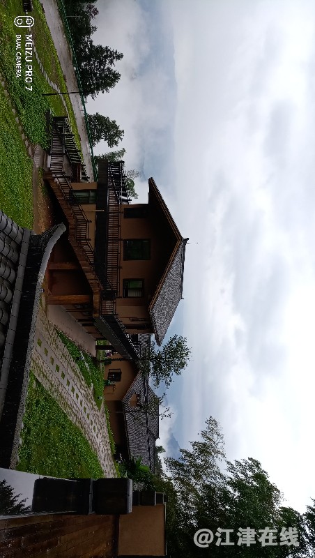P81013-153031.jpg