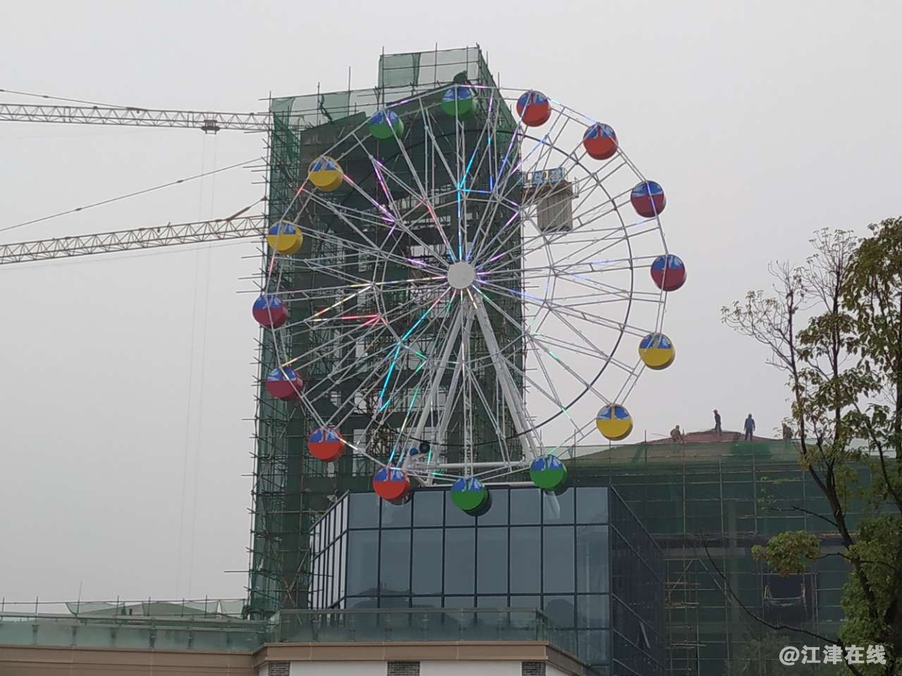 20181017_251735_1539735771890.jpg