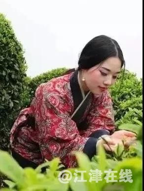 微信图片_20181020141758.jpg