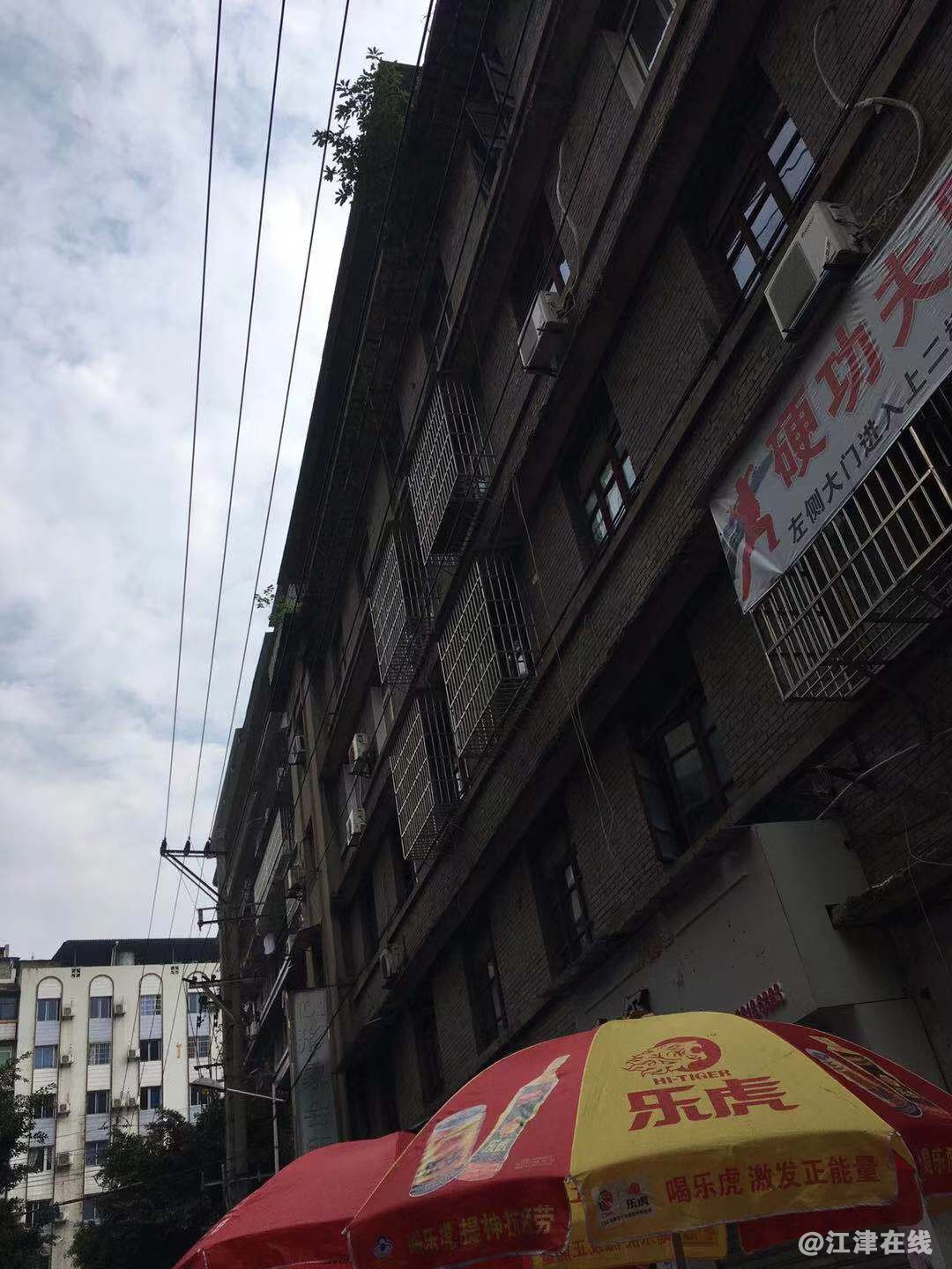 麻纱市3.jpg