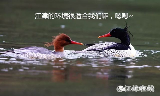 display_picture (17).png