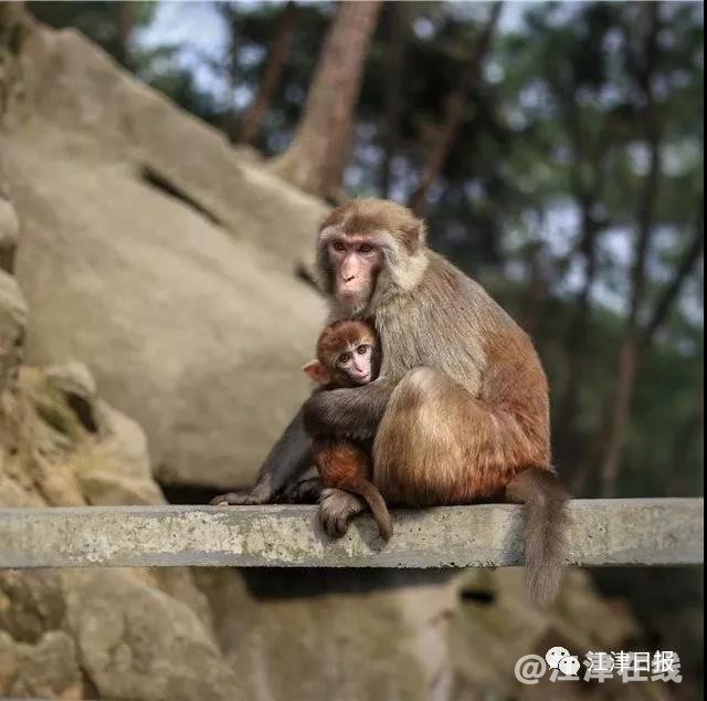 微信图片_20181115095644.jpg