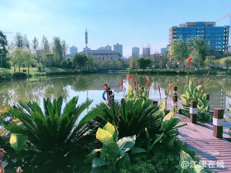 微信图片_20181124092735.jpg