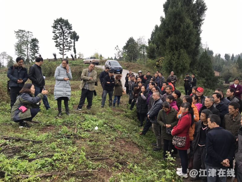 QQ图片20181124210132.jpg