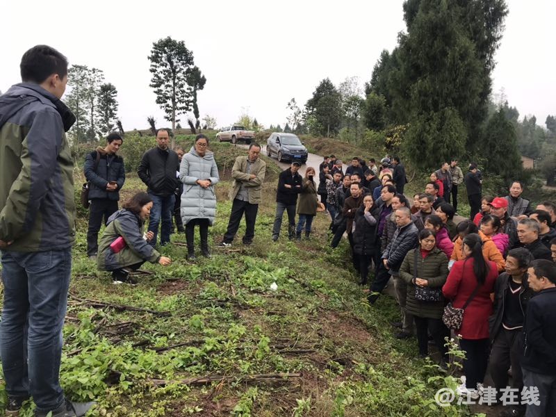 QQ图片20181124210144.jpg