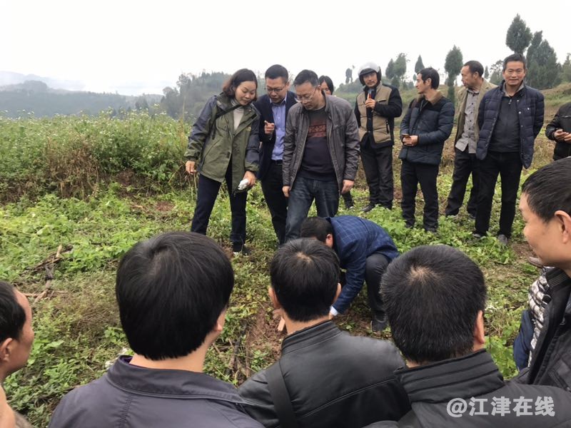 QQ图片20181124210209.jpg