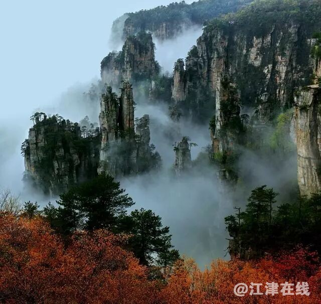 QQ图片20181127193723.jpg