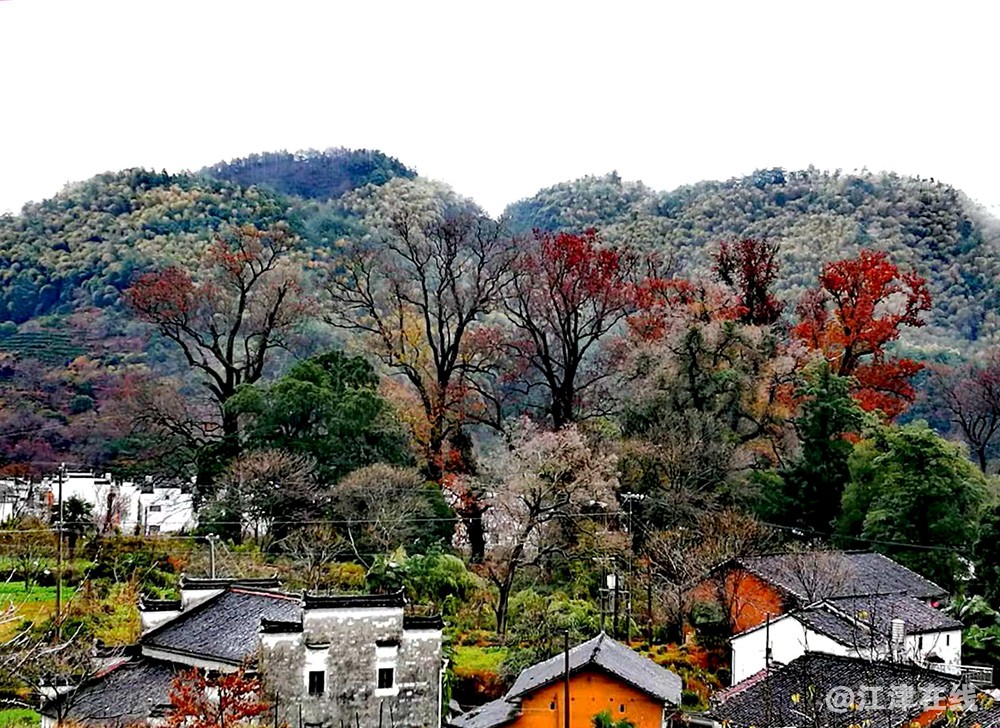 婺源 (1).jpg
