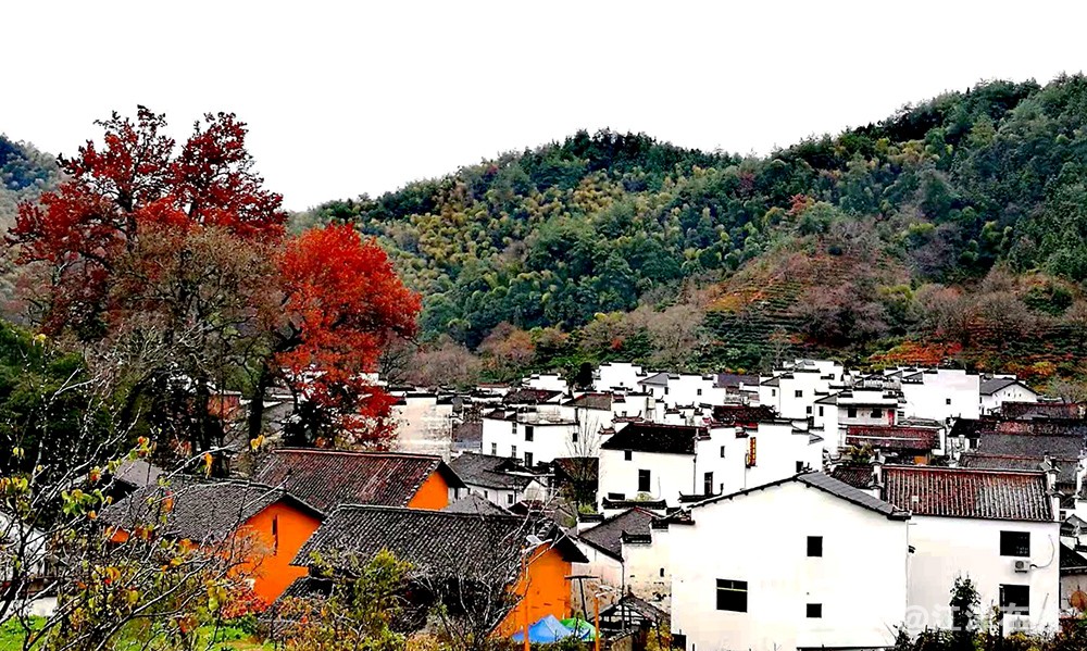 婺源 (2).jpg