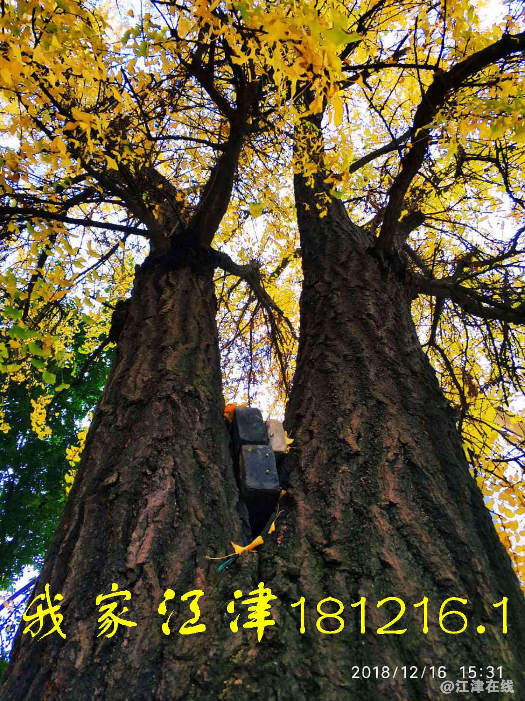 JYZ 20181216 WXBN (148).jpg