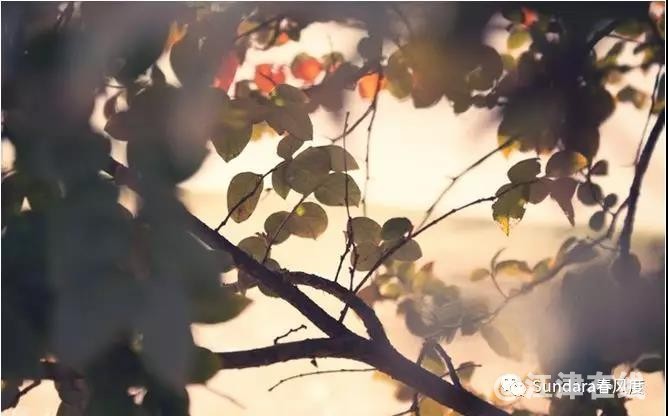 微信图片_20181219111201.jpg