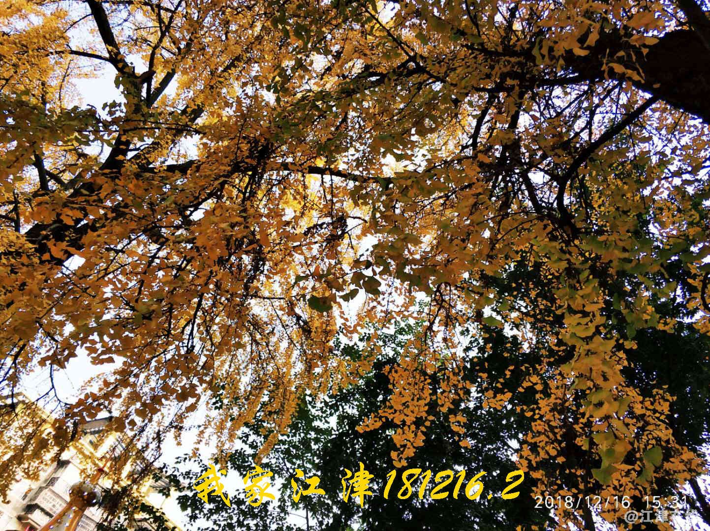 JYZ 201812167 WXBN (17).jpg