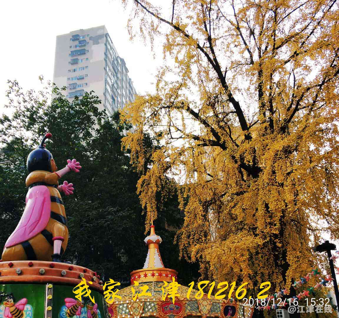JYZ 201812167 WXBN (20).jpg
