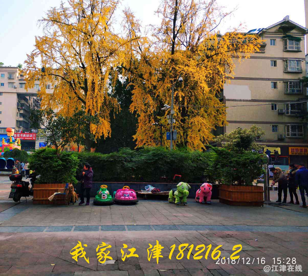JYZ 201812167 WXBN (277).jpg