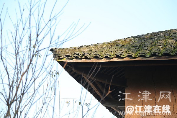 f79a0354-7f68-42c7-8cba-04b2000e7ae7.jpg