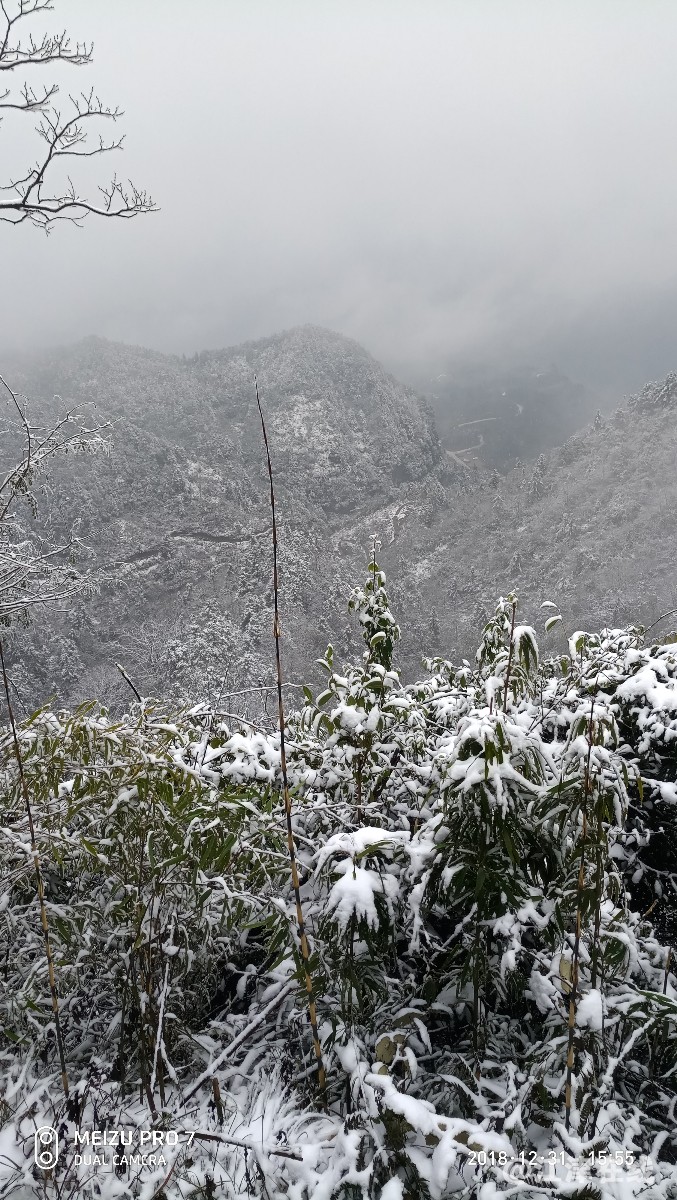 P81231-155524.jpg