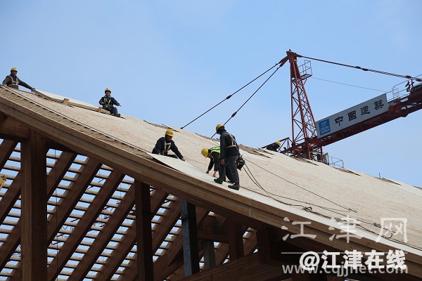d768c09b-cbcc-4a58-8dcb-f1e74d4af221.jpg